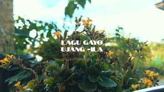 Download Lagu Lagu Gayo Ujang - Ila 4K Video MP3