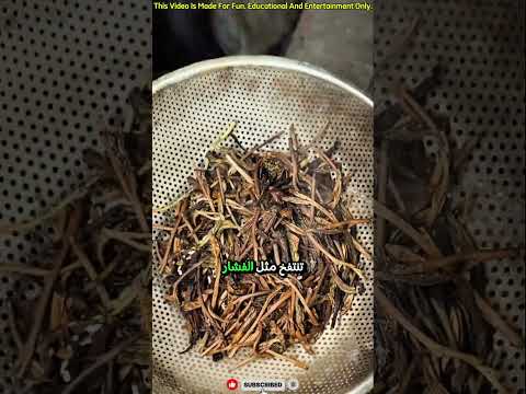 أغلى شاي في آسيا ي حم ص داخل الملح الساخن بطريقة غريبة جد ا  غرائب العالم شاي