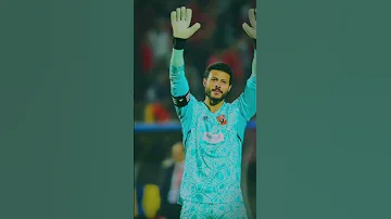 محمد الشناوى 