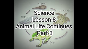 Class -4 | Science Lesson-8 Animal Life Continues | Part-3 | Animals that lay Eggs