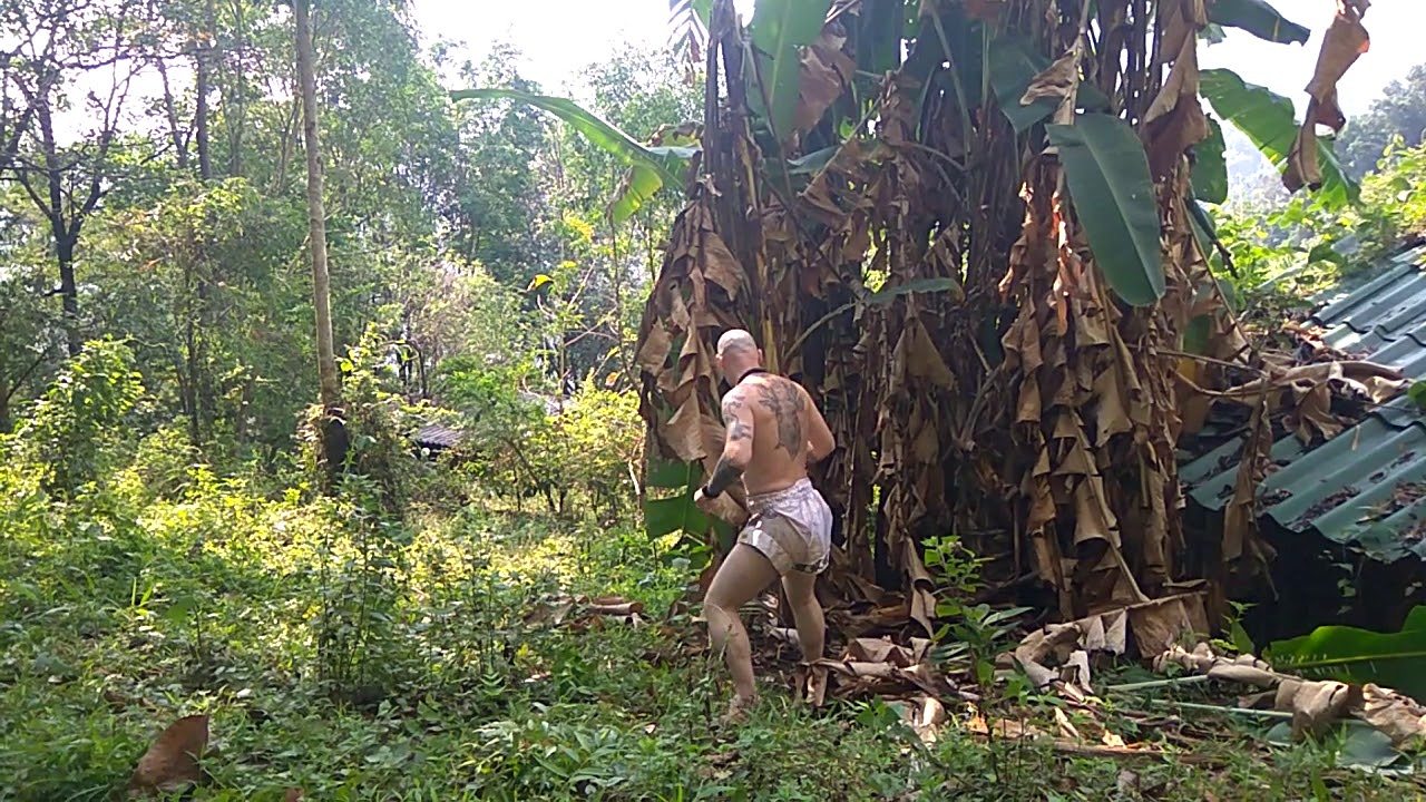 Muay Thai Fighter KICKS DOWN BANANA TREE in the Jungle YouTube