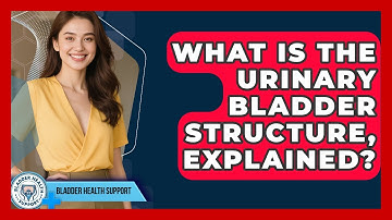 What Is The Urinary Bladder Structure, Explained? - Bladder Health Support