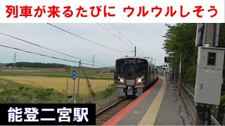 【ハナミズキが流れる】能登二宮駅（JR七尾線）の電車発着シーン　2023年5月25日(木)