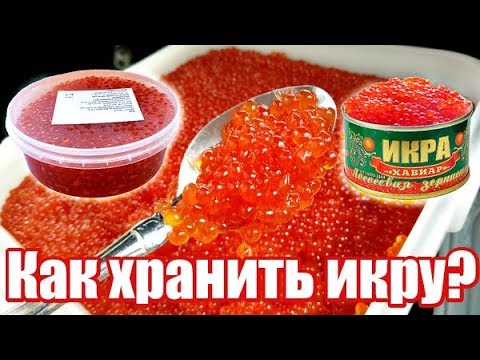 Храните икру только так! Как где и сколько хранить красную икру? Как правильно хранить красную икру?