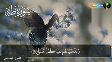 ما تيسر من سورة طه | القارئ أحمد علي 💚