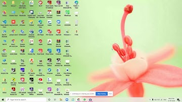 white hat junior project 9