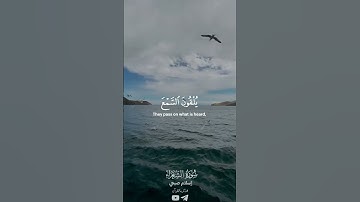 سوره الشعراء اسلام صبحي 🤍 اكتب شيء تؤجر عليه 🤍🤍