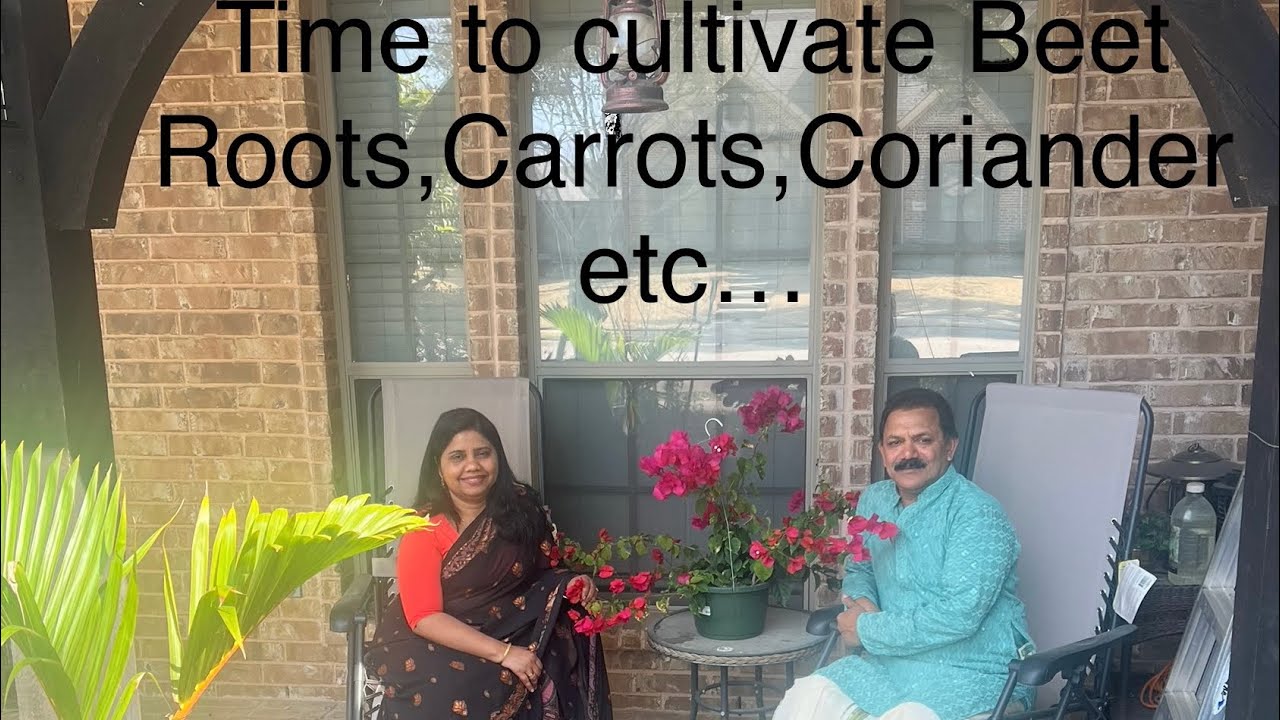 ബീറ്റ്റൂട്ട്, കാരറ്റ്, മല്ലി, ഉലുവ എന്നിവ കൃഷി ചെയ്യാൻ സമയമായി.