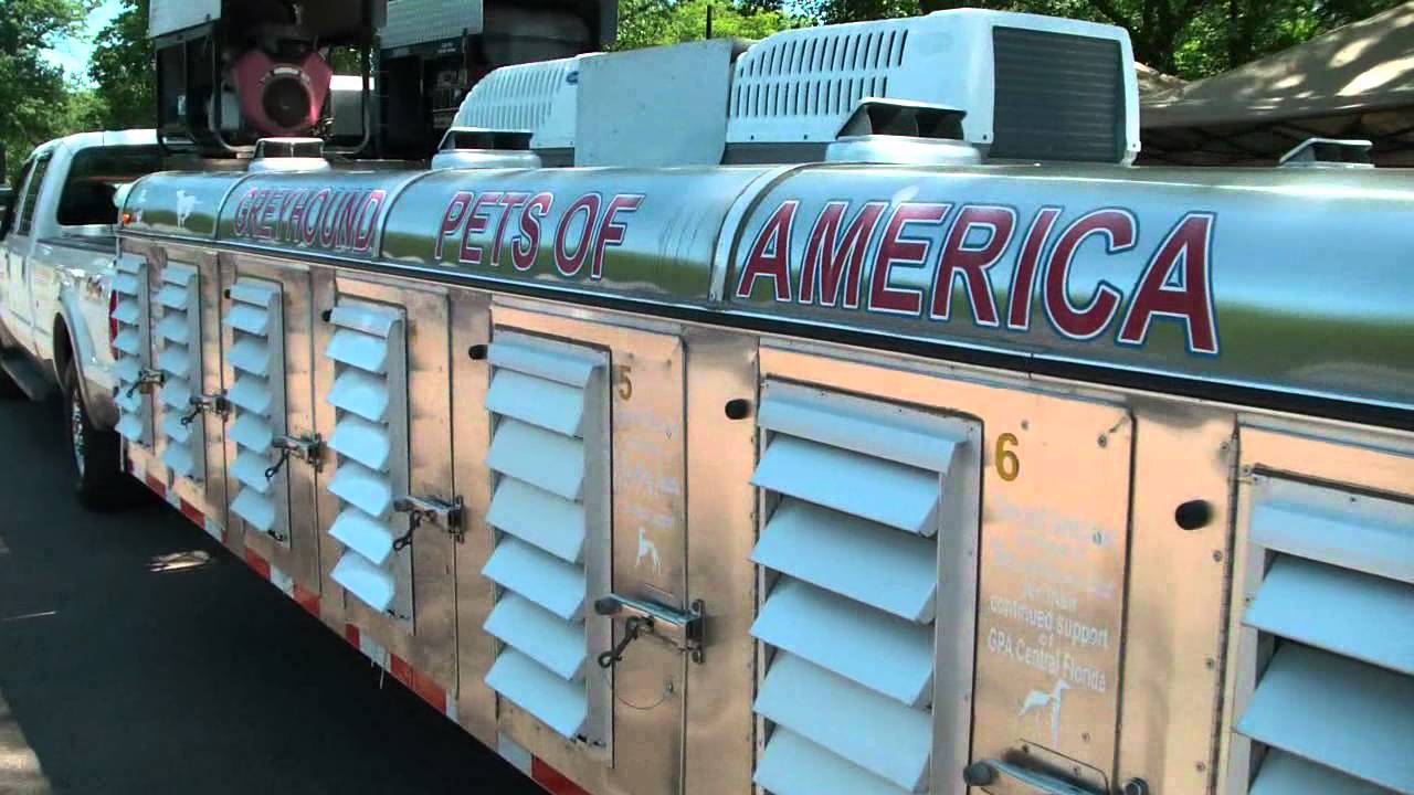 greyhound dog transport