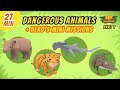 Dangerous Animals (Part 1/3) - Junior Rangers and Hero's Animals Adventure | Leo the Wildlife Ranger