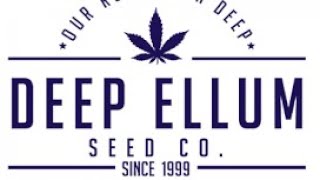 AGP: Interview with Deep Ellum Seeds