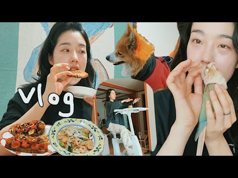 ✨320 Vlog I 재봉 I 실내 자전거 지름 I 개새와의 일상 I 집밥 I 운동 I 김갈릭