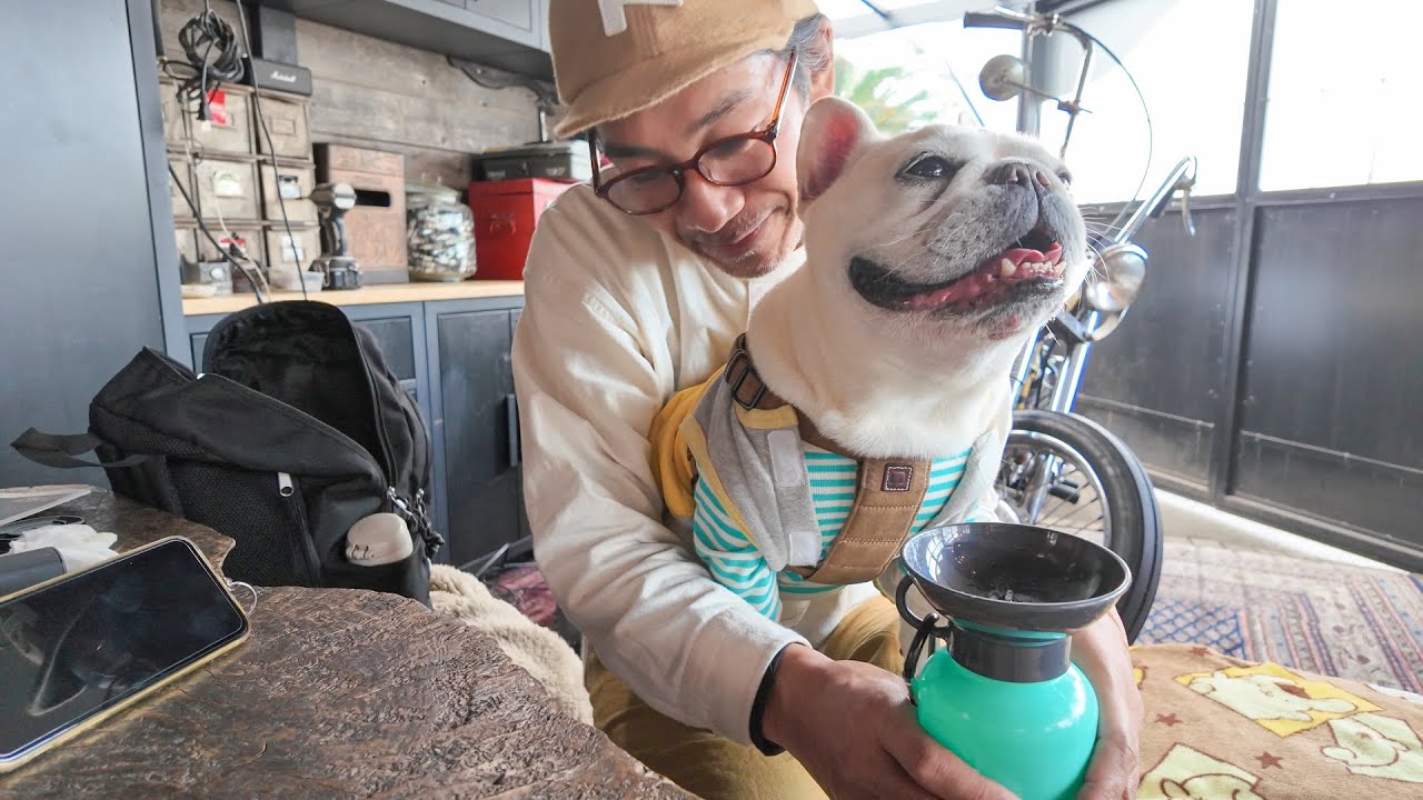 [ささやかな日常]ドッグランたまごとGrill&Cafe LICKS YouTube