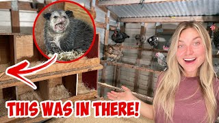 Deep Cleaning My CHICKEN COOP! | AN ANIMAL WAS IN THERE! *Satisfying*