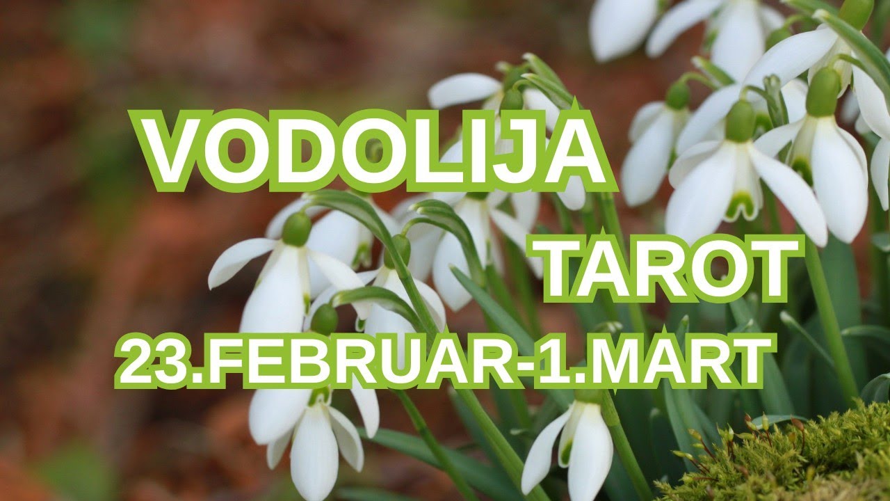 VODOLIJA ♒ Sve se menja kada izaberete sebe❤️  23.FEBRUAR-1.MART TAROT 