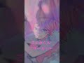 さとみくんアザーカット