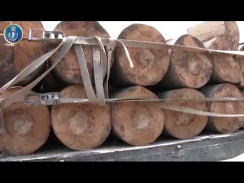 ბრიფინგი საგამოძიებო სამსახურიში 26 07 18