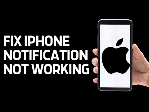 How To Fix iPhone Notification Not Working After iOS 17 Update (2024)