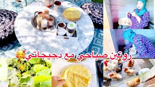 روتيني صباحي مع دجاجاتى بيضو🐔فطرت وليداتي بالكريب😍في طبيعة حيدت الخضرة ديالي😍