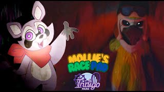 Mollies Race Pad Full Playthrough (Indigo Park Fangame)