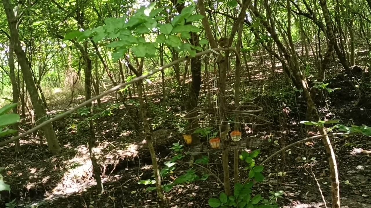 #mòidợtlup ae xem chơi còn hơi yếu 