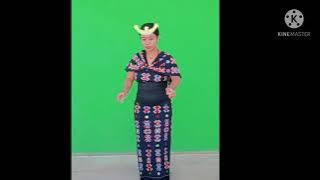 Taarian daerah Timor (TTS) Uis Neno Amanekat