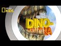 Dinosaur Characteristics and Adaptations