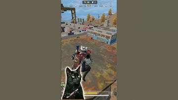 Meow camping in Harbor #callofdutymobile #codmobile #codm 