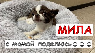 Ну с мамой.... конечно поделюсь☺☺☺