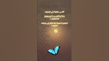 يارب نرجو رحمتك #القرآن_الكريم #ستوريات #المنشاوي #البهتيمي #التلاوات_النادره