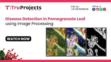 Disease Detection in Pomegranate Leaf using Image Processing