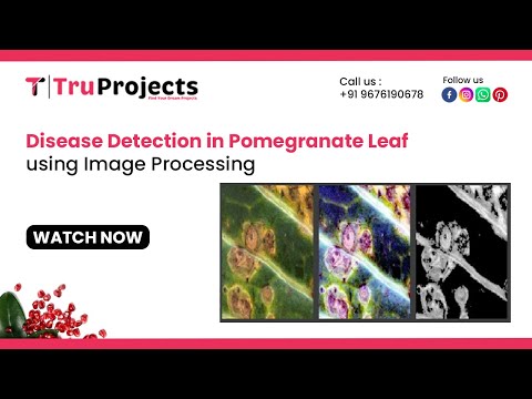 Disease Detection in Pomegranate Leaf using Image Processing