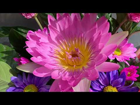 Datre對話74💫宇宙觀點中的”鬼上身”