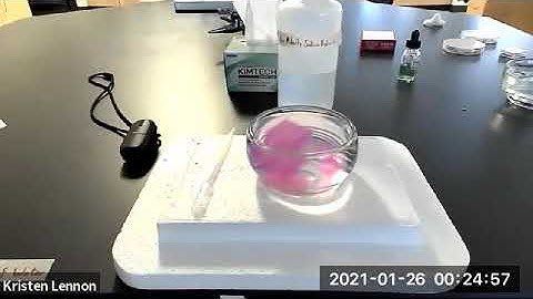 Cell Size and Diffusion