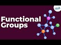 Introduction to Functional Groups | Don't Memorise
