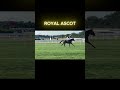 Royal Ascot #RoyalAscot #AscotRaces #HorseRacing #BritishTradition #RoyalEvent