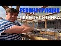 РЕКОНСТРУКЦИЯ ПЕРЕПЕЛЯТНИКА