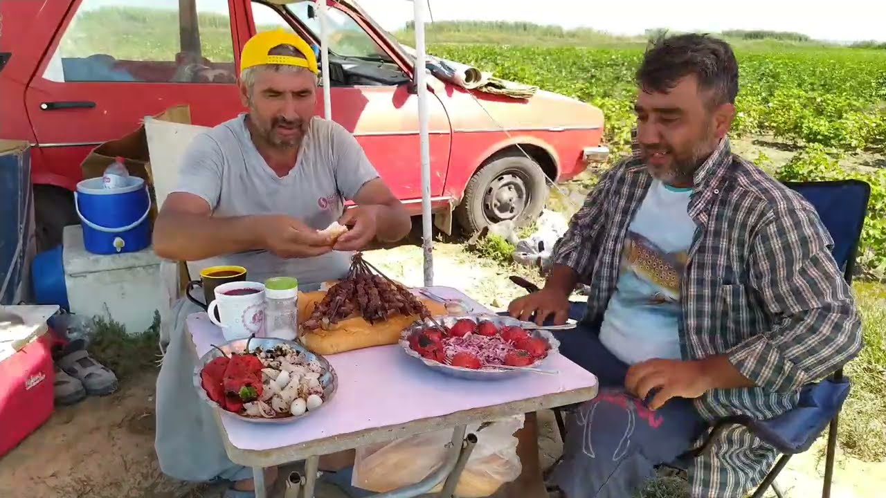 Adana gölkaya köyü küçük derede olta kıran balıklar