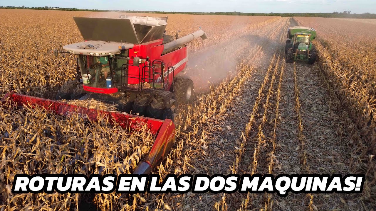 COMPLICACIONES de las MAQUINAS en PLENA CAMPAÑA! La JD 1450 estuvo 3 DIAS sin COSECHAR por ROTURAS