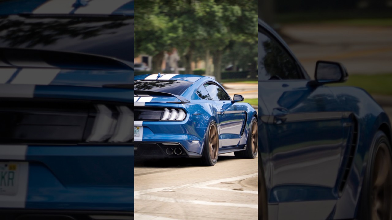 GT350