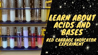 Learn about Acids and Bases: Red Cabbage Indicator Science Experiment