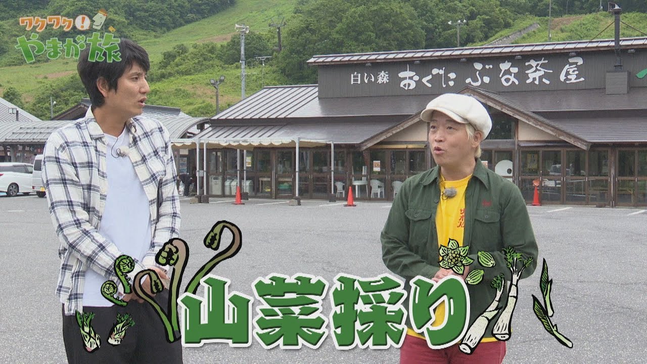 小国町で山の恵みをいただく～小国町～【ワクワク！やまが旅】