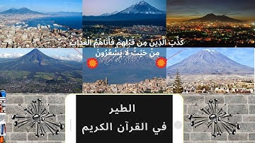 بيان الحق في مفهوم "الطير" من القرآن الكريم لأول مرة في التاريخ