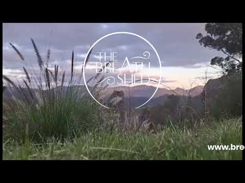 All Videos