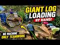 Insane Teamwork Loading Giant Logs onto a Truck by Hand | Amazing Wood Logging Skills