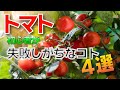 【トマト栽培】初心者が失敗しがちな4つのコト【家庭菜園】水やり・追肥・脇芽かき・摘心【フルティカ】