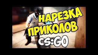 Гей котята и кошачий оргазм.Самый обычный день в CS:GO Гей котята и кошачий оргазм.Самый обычный день в CS:GO
