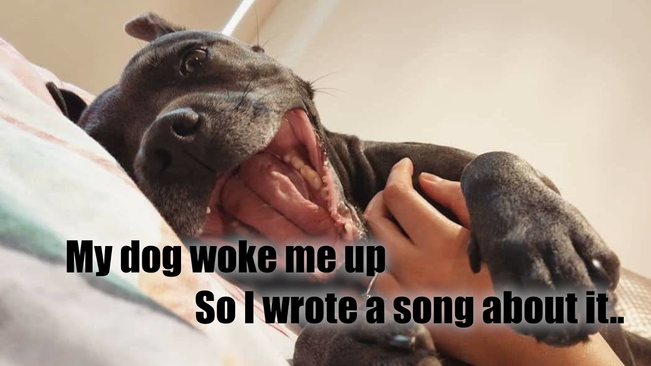 uni3k.0ne - Opal's Song uni3k.0ne - Opal's Song
