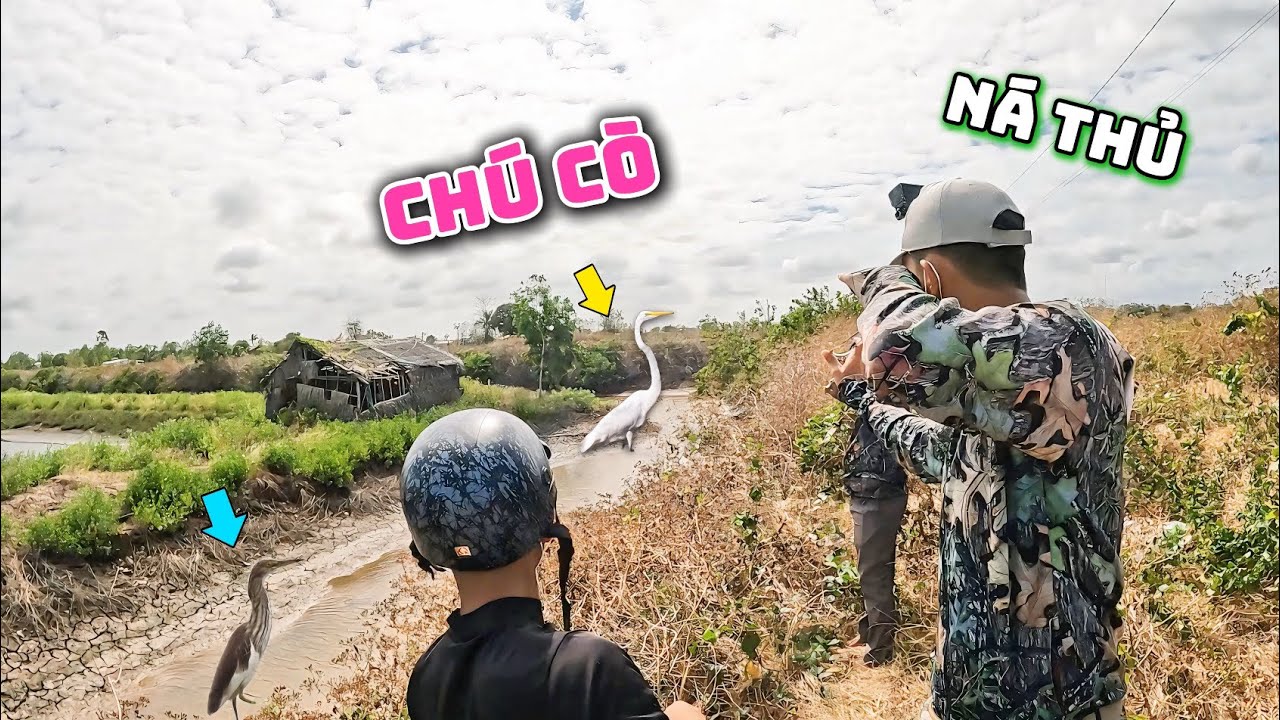 Cầm Ná Đi Dạo Săn Vài Chú Cò Về Nấu Nướng Lai Rai Cùng Anh Em || Tiến Đạt SlingShot