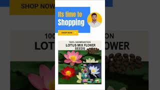 Grow Rare Hybrid Japanese Lotus Flowers At Home! | 12 Exotic Colors  Germination #outdoorgearreview